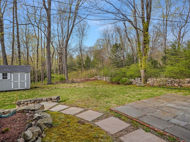 view of yard with a storage shed, an outdoor structure, and a patio area