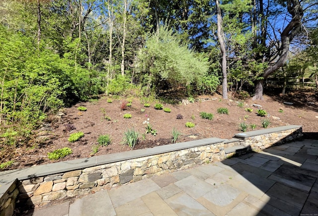 664C Heritage Vlg, Southbury, CT 06488 - view of yard