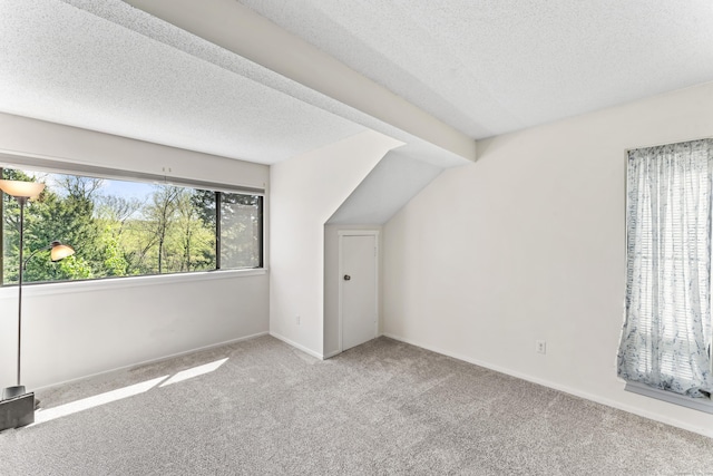331 Heritage Vlg Unit E, Southbury, CT 06488 - additional living space featuring carpet flooring and a textured ceiling