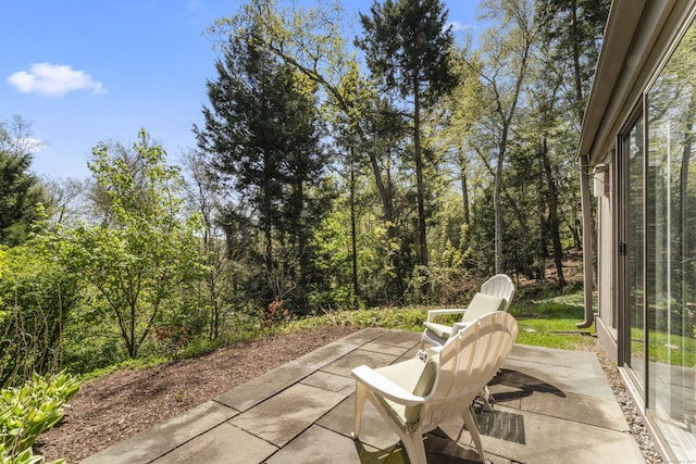331 Heritage Vlg Unit E, Southbury, CT 06488 - view of patio / terrace