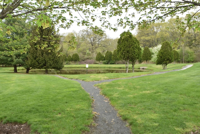 view of community with a yard