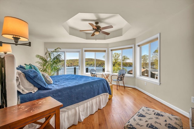 355 W Lake St, Winchester, CT 06098 - bedroom with baseboards, multiple windows, light wood finished floors, and a raised ceiling