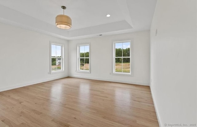 empty room featuring baseboards, a raised ceiling, light wood finished floors, and a healthy amount of sunlight