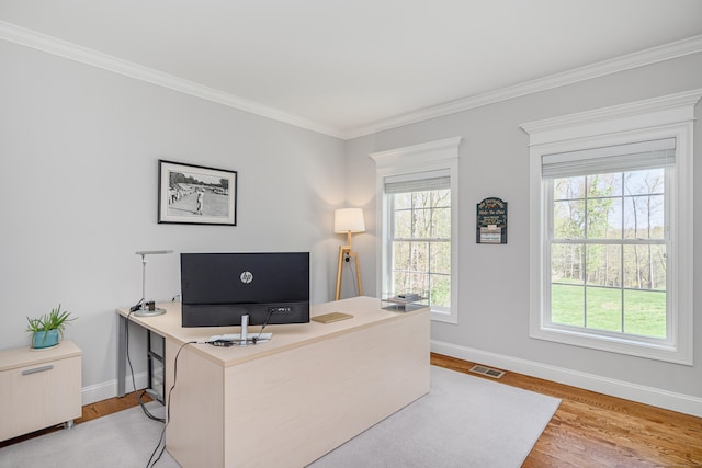 office area featuring a healthy amount of sunlight, baseboards, and light wood finished floors