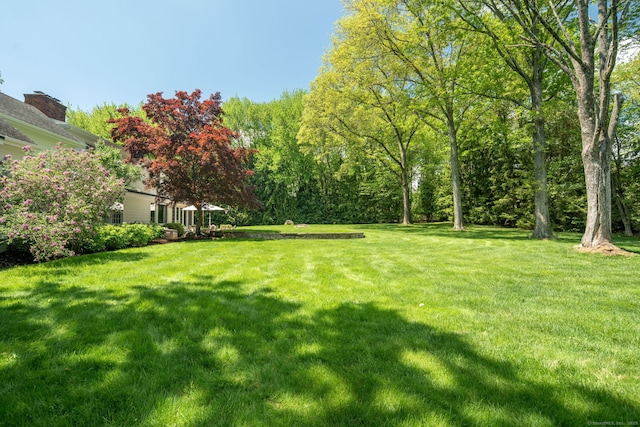 view of green lawn