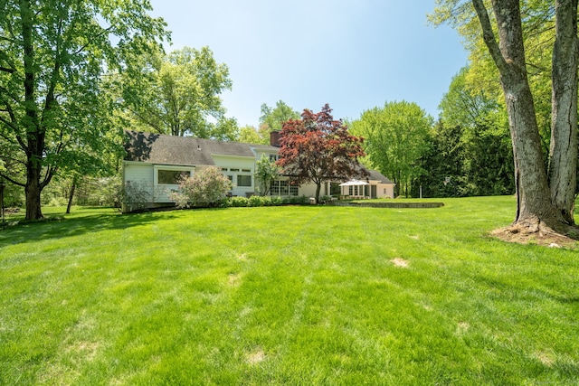 view of green lawn
