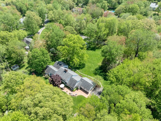 bird's eye view of a forest