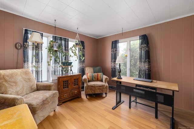 200 Mechanic St, Killingly, CT 06239 - living area featuring light wood finished floors and crown molding