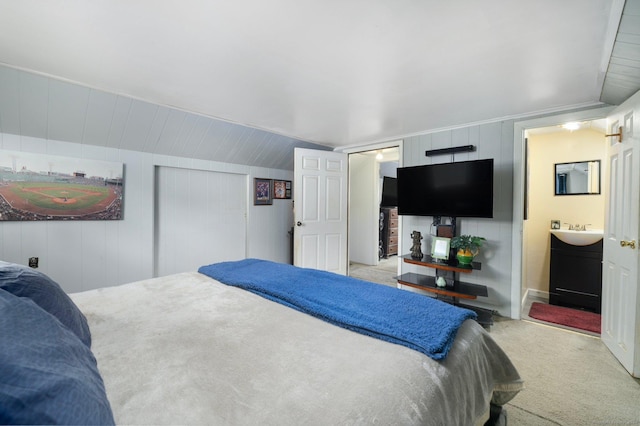 200 Mechanic St, Killingly, CT 06239 - bedroom with light colored carpet, a sink, lofted ceiling, and ensuite bathroom