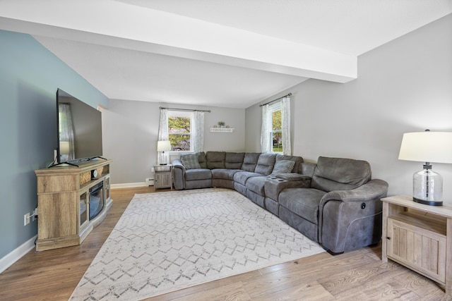 living room featuring wood finished floors, baseboards, and a fireplace