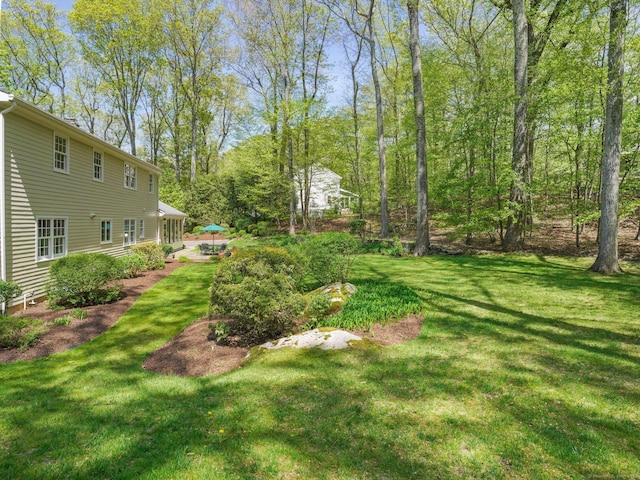 view of green lawn