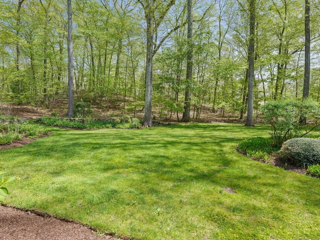 view of grassy yard