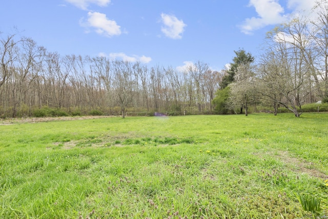 view of yard featuring a rural view