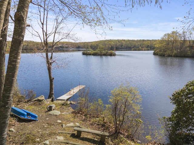 water view featuring a forest view