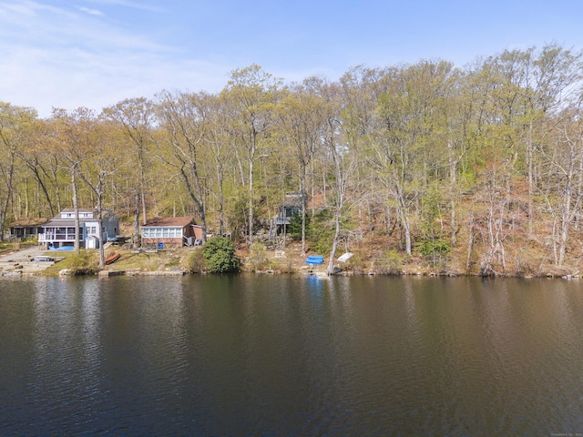 water view with a wooded view