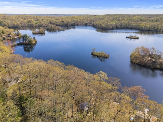 aerial view featuring a water view and a view of trees