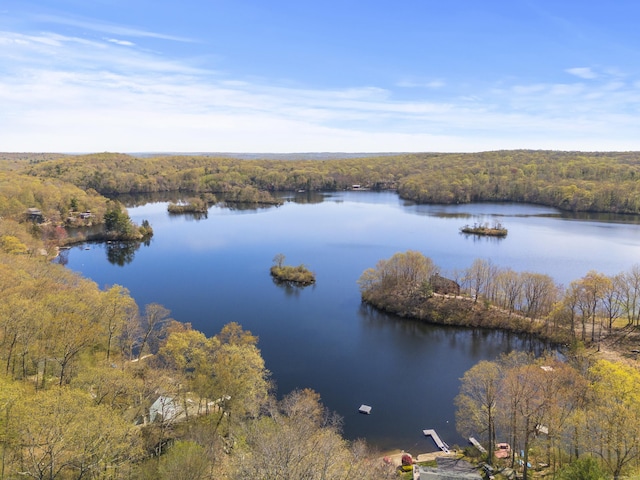 property view of water featuring a wooded view