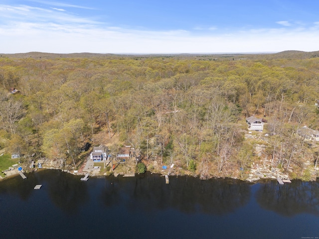 drone / aerial view with a water view and a forest view