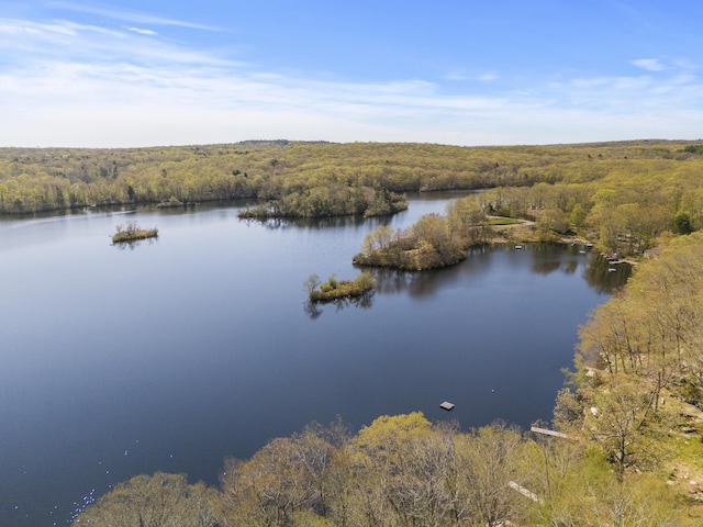 water view with a forest view