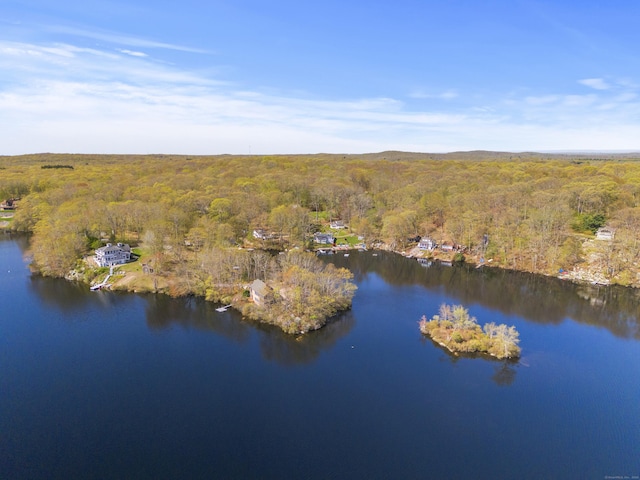 drone / aerial view with a view of trees and a water view