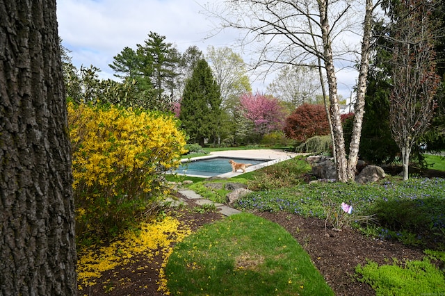 view of pool