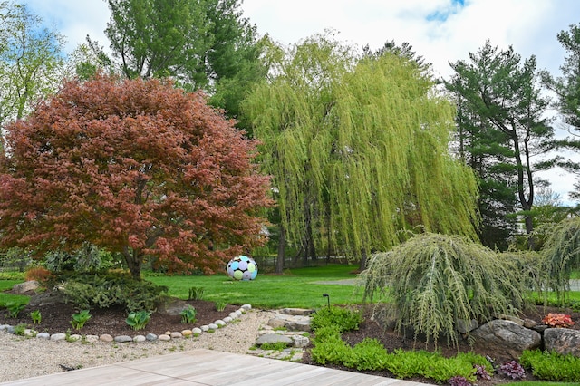 exterior space featuring a yard
