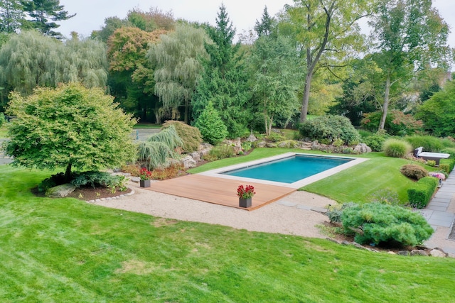 outdoor pool featuring a lawn