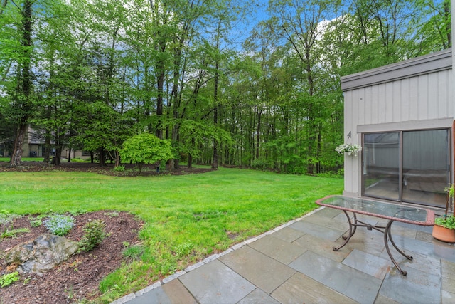 view of green lawn with a patio area