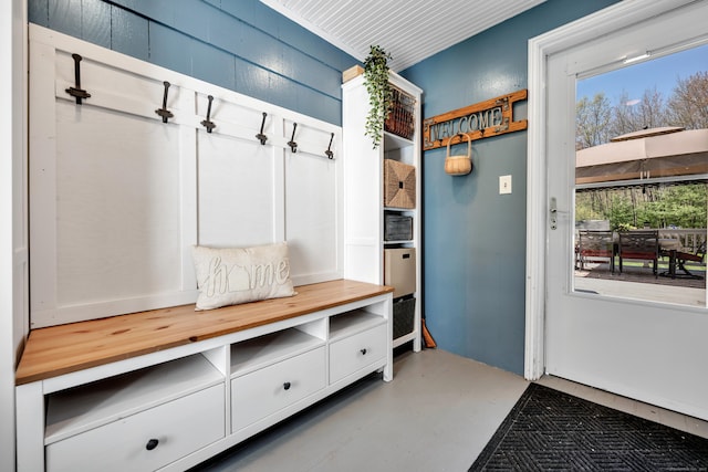 mudroom featuring plenty of natural light