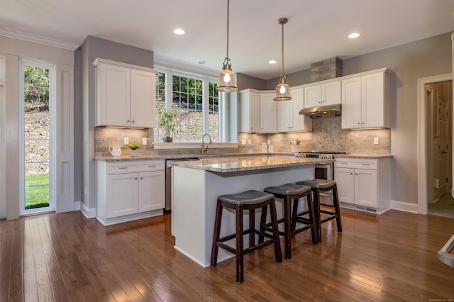 kitchen with under cabinet range hood, white cabinets, a wealth of natural light, and stainless steel appliances