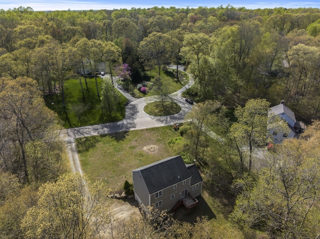 4 Davis Farm Rd, Clinton, CT 06413 - view of property location featuring a heavily wooded area
