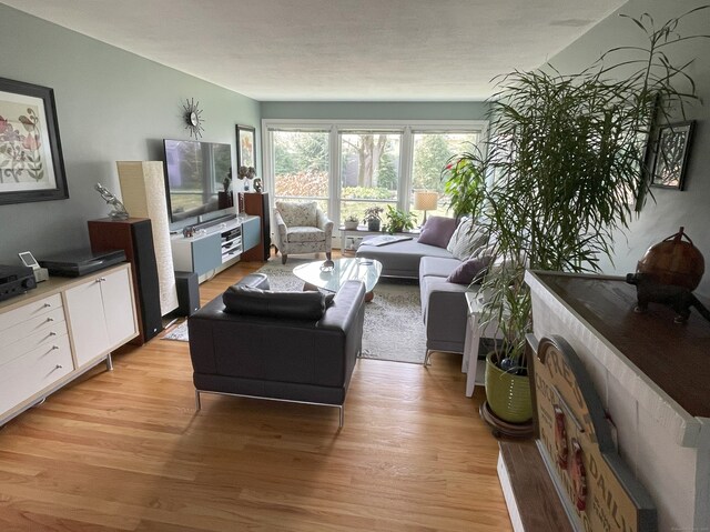 living room featuring light wood-style floors