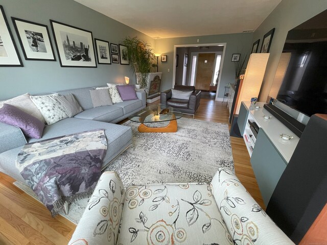 living area featuring light wood finished floors
