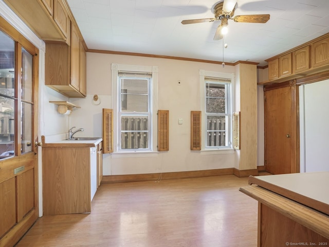 unfurnished dining area featuring ceiling fan, ornamental molding, a sink, and light wood-style floors