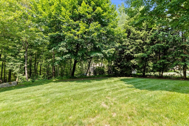 199 Dennison Rdg, Manchester, CT 06040 - view of grassy yard