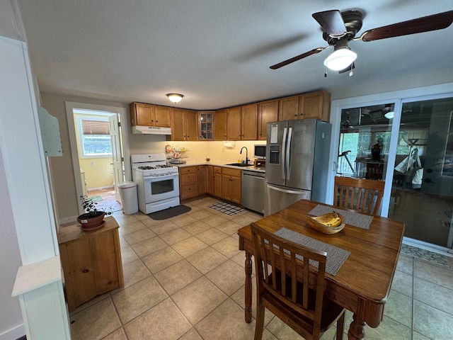17 Green Rd, Vernon, CT 06066 - kitchen with appliances with stainless steel finishes, under cabinet range hood, ceiling fan, light countertops, and a sink