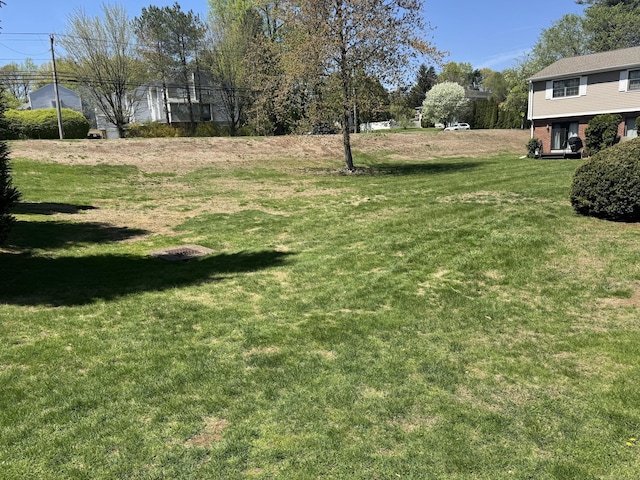 view of yard