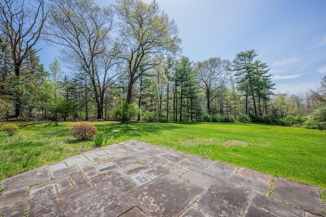 23 Vine Hill Rd, Farmington, CT 06032 - view of patio / terrace