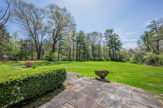 23 Vine Hill Rd, Farmington, CT 06032 - view of yard