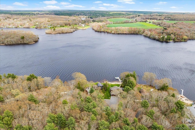 bird's eye view with a water view and a forest view