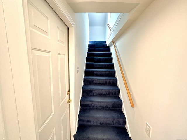 staircase with carpet floors