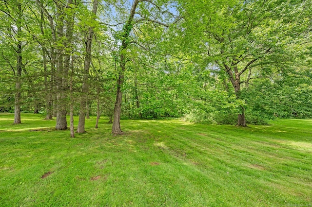 283 Hillcrest Ave, Newington, CT 06111 - view of green lawn