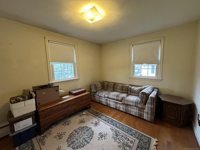living area featuring wood finished floors