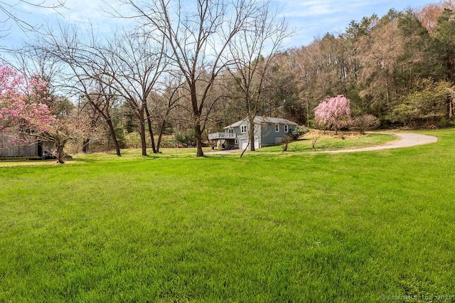 38 Black Bridge Rd, Newtown, CT 06482 - view of yard