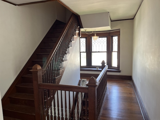 staircase featuring baseboards and hardwood / wood-style floors