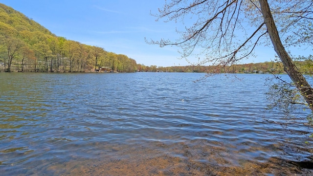 32 Great Hill Pond Rd, Portland, CT 06480 - water view with a forest view