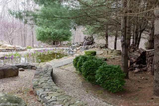 view of yard featuring a small pond