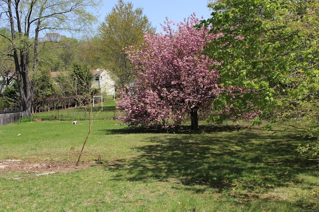 view of yard with fence