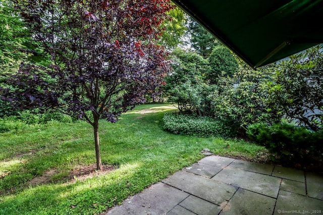 920 Heritage Vlg Unit A, Southbury, CT 06488 - view of green lawn featuring a patio area