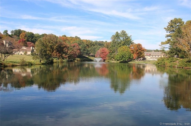 920 Heritage Vlg Unit A, Southbury, CT 06488 - water view